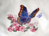 coussin-papillon