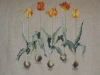 tulipes